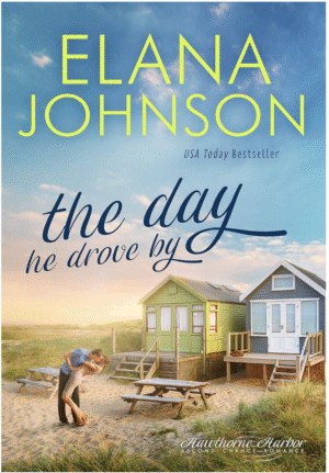 The Day He Drove By By Elana Johnson